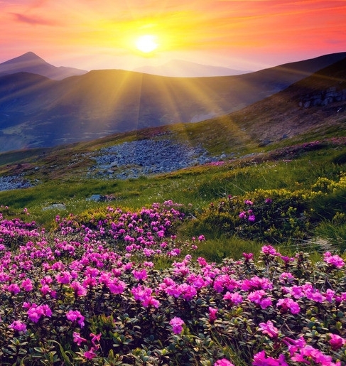 粉象生活新人开店注册