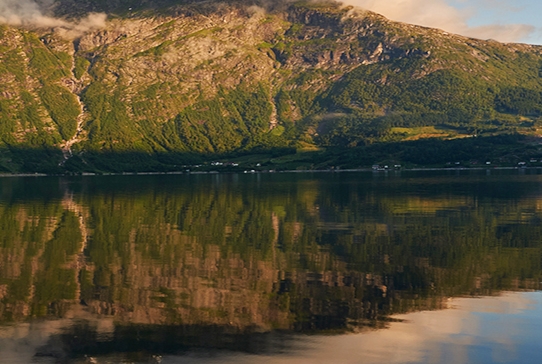 团队飞跃粉象生活