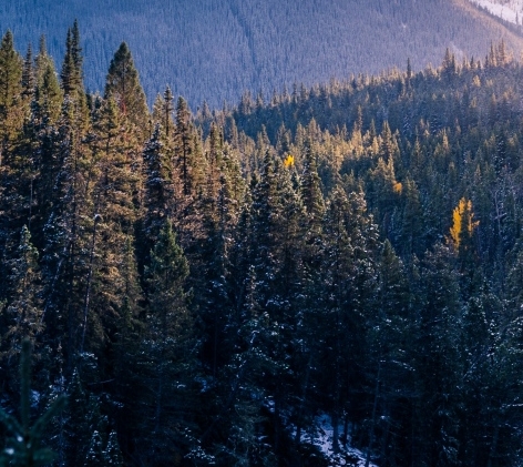 粉象生活入驻注册会员