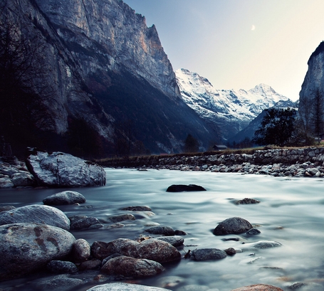 粉象生活邀请码怎么选