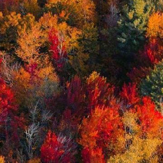 粉象生活怎么填别人的邀请码