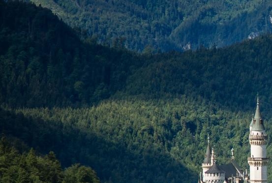 同为粉象生活代理