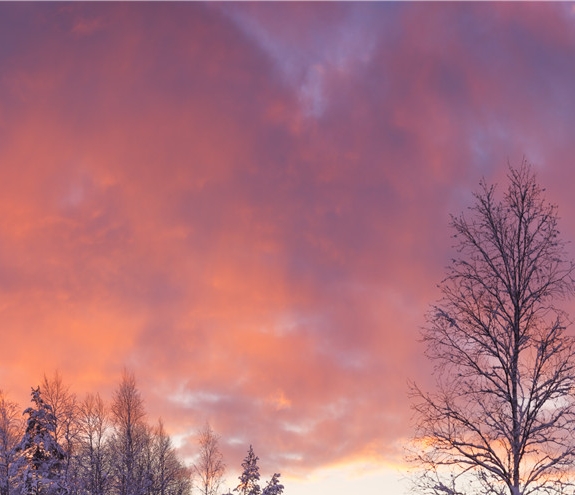 粉象生活注销后多久才能注册