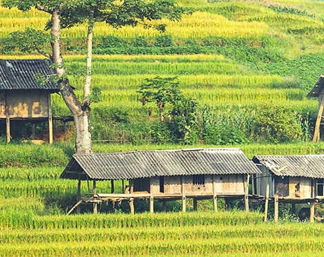 粉象生活和淘宝优惠一样