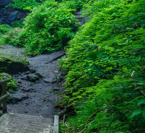 河南新县
