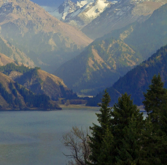 粉象生活升级vip的条件