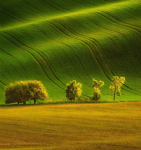 粉象生活是什么样的平台