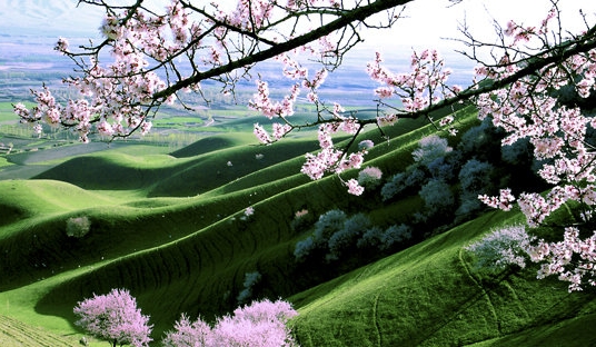 菏泽粉象生活注册扫码