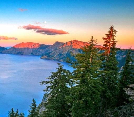 粉象生活邀请码在哪里填写