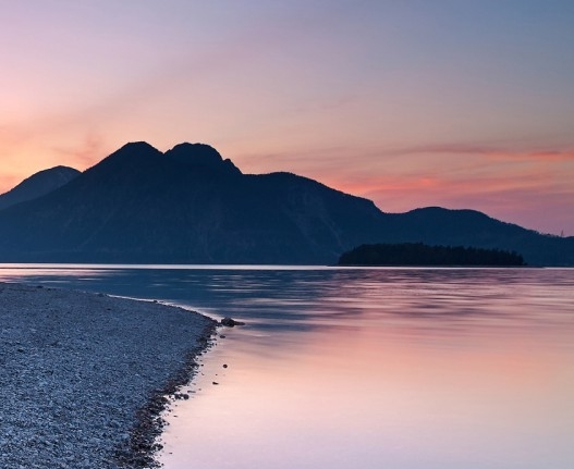 菏泽粉象生活代理哪里注册