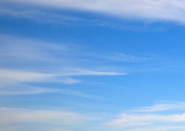 粉象生活邀请码填谁的最好