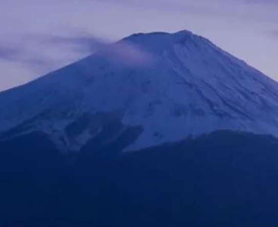 电商粉象是啥