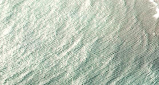 菏泽粉象生活代理怎么加入