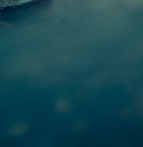 如何加入粉象生活推广