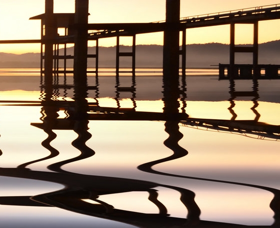 粉象生活账号注销后怎么注册