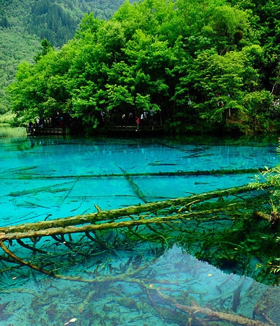 菏泽粉象生活入驻怎么注册