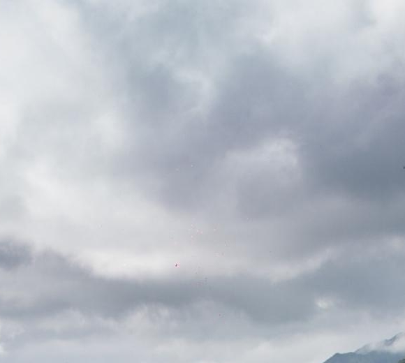 粉象生活怎么更新