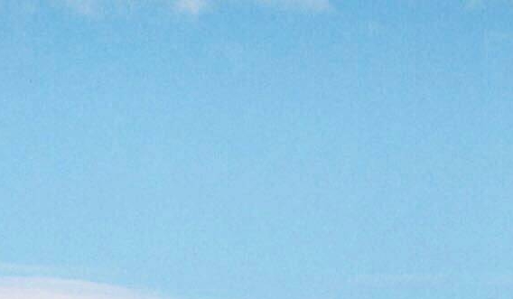 如何得到粉象生活的邀请码