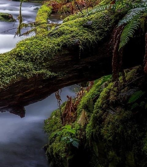 亳州粉象生活注册靠谱不