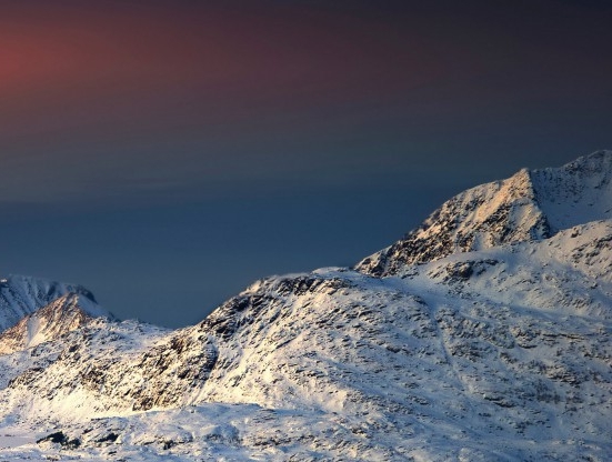 如何加入粉象生活推广