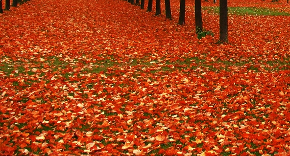 粉象生活第一个是怎么注册的