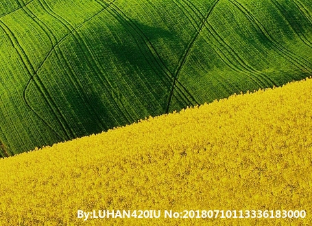 粉象生活分享后怎么没有佣金