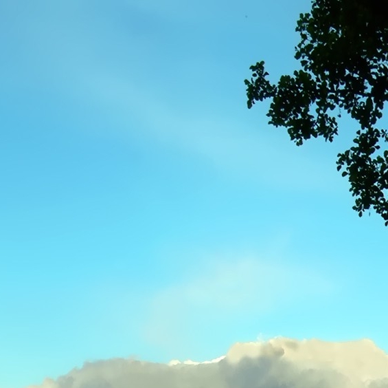 粉象怎么退出邀请人