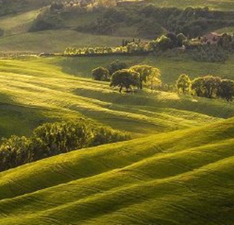 怎样自己弄粉象生活邀请码