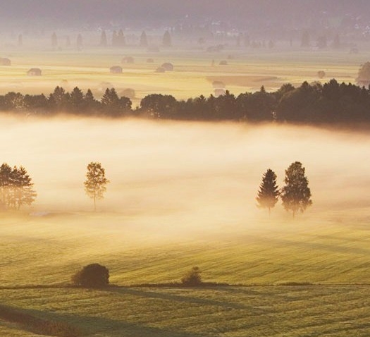 粉象生活返利高吗