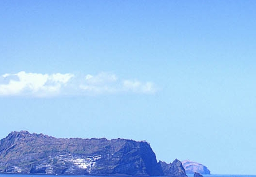 粉象生活邀请码填谁的最好