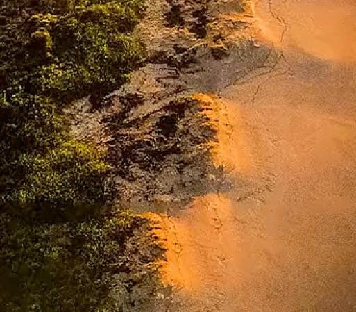 不用邀请码可以注册粉象吗