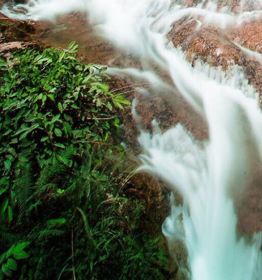 粉象生活开店注册步骤