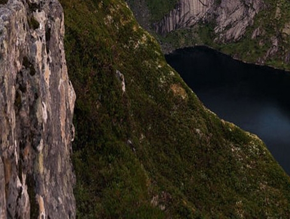 粉象没有邀请码