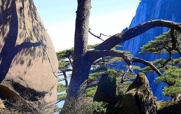 湖州粉象生活市场前景