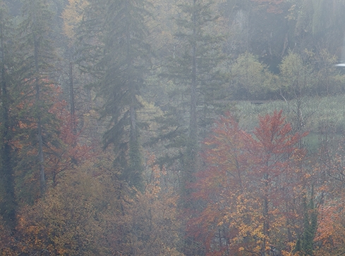 菏泽粉象生活注册登录