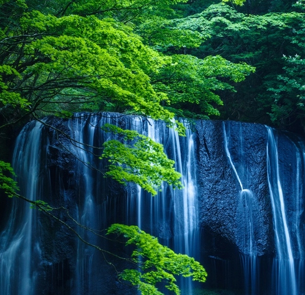 粉象生活虎哥团队