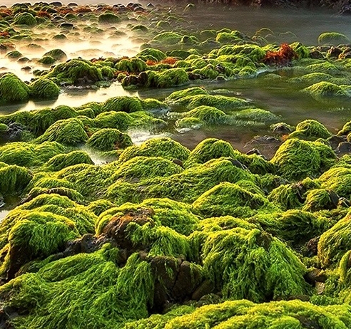 粉象生活上线后有什么优惠