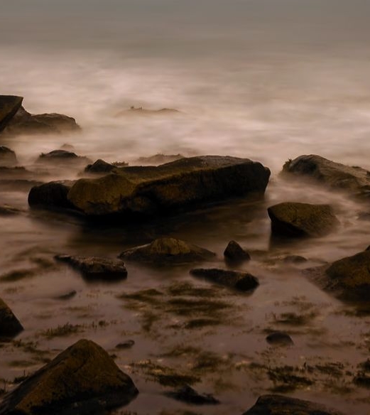 粉象生活邀请码哪里弄