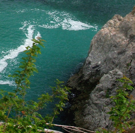 粉象生活没有邀请码