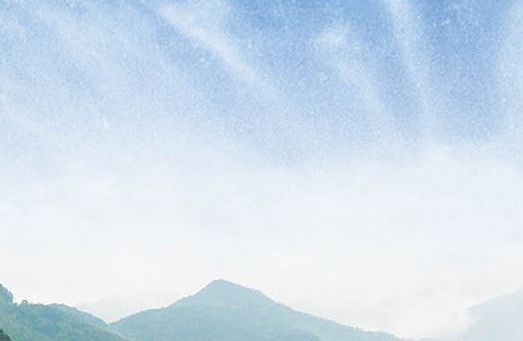 粉象里的东西是正品吗