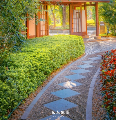 绵阳粉象生活