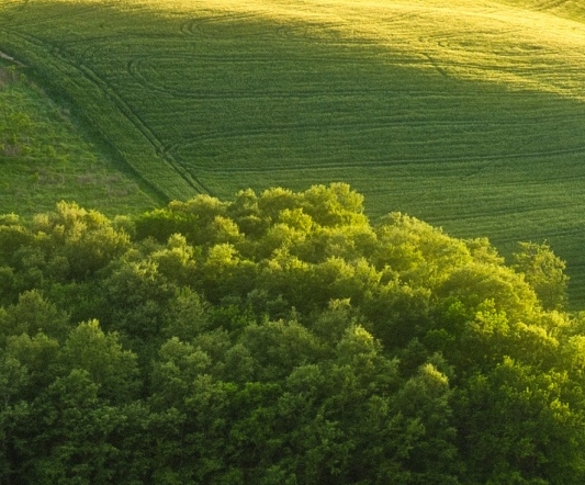 哈尔滨粉象生活软件