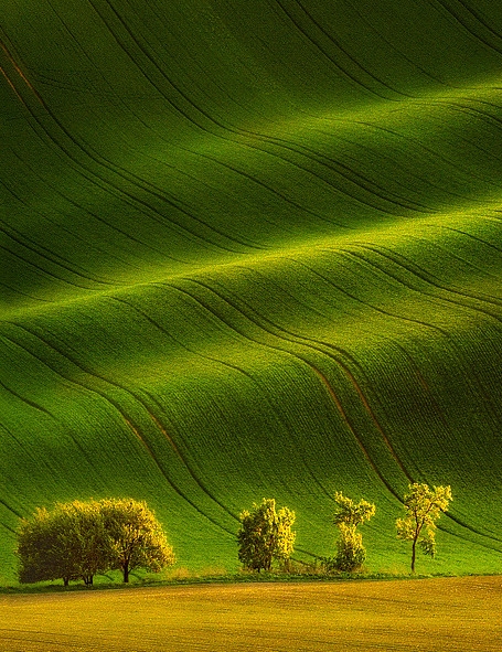 申请注册粉象生活
