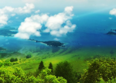 清远粉象生活注册