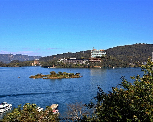 亳州粉象生活入驻