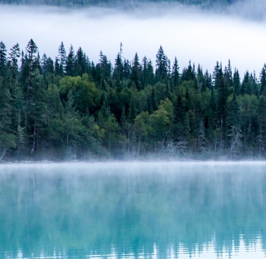粉象官方邀请码是多少