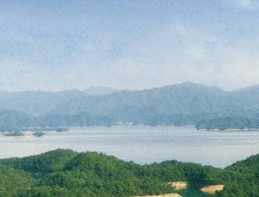 粉象官方验证码