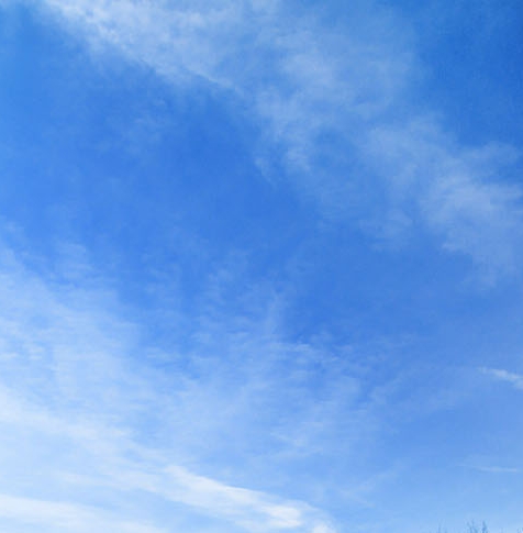 粉象生活一定要填邀请码吗