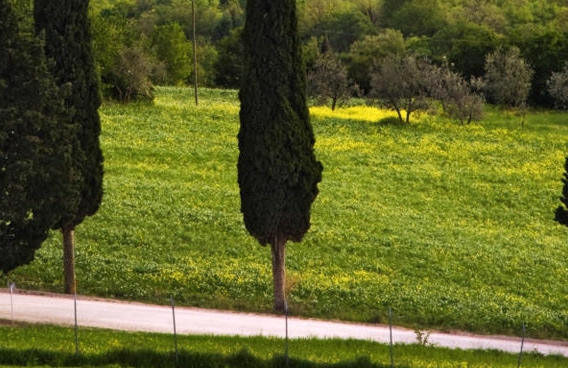 黑河粉象生活代理