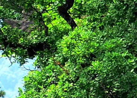 粉象生活有没有官网